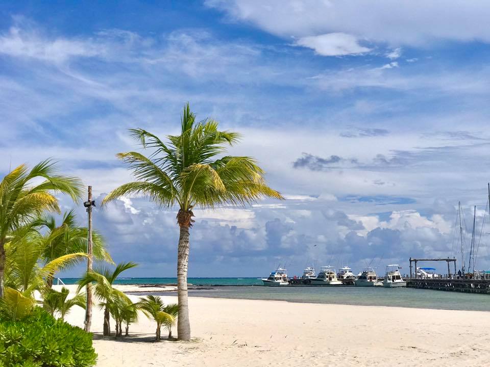 Playa_del_Carmen-palms-sand-ocean