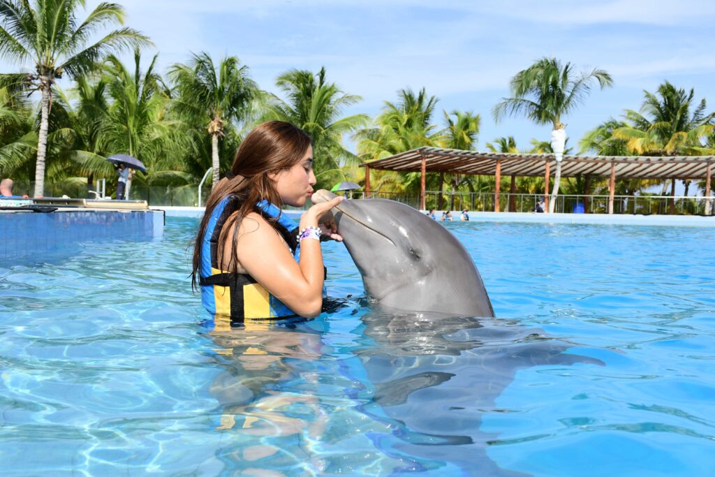 Cuánto cuesta un nado con Delfines en Playa del Carmen Dolphin