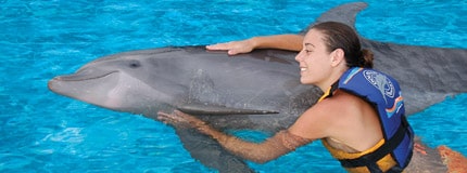 nado-con-delfines-min