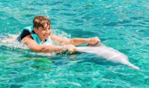 nadar con delfines en cozumel