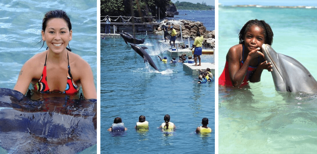 Parques Dolphin Discovery Jamaica