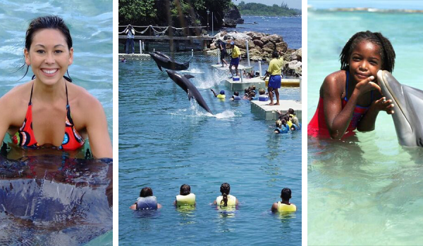 Parques Dolphin Discovery Jamaica