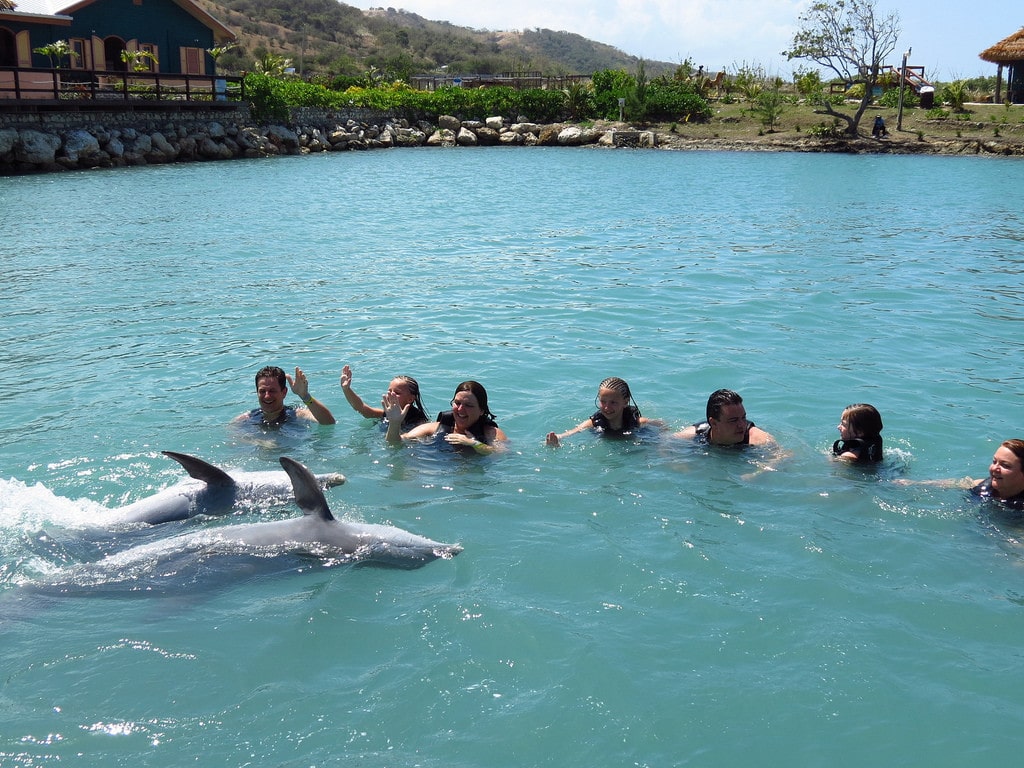 Nado con delfines en Dolphin Cove Osho Rios
