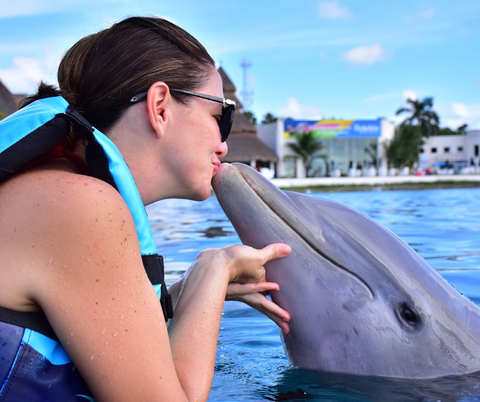 5 cosas que hacer y ver en Cozumel | Dolphin Blog Dolphin Discovery | Blog