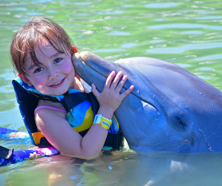 4 Lugares Para Nadar Con Delfines En Mexico Dolphin Blog Dolphin Discovery Blog