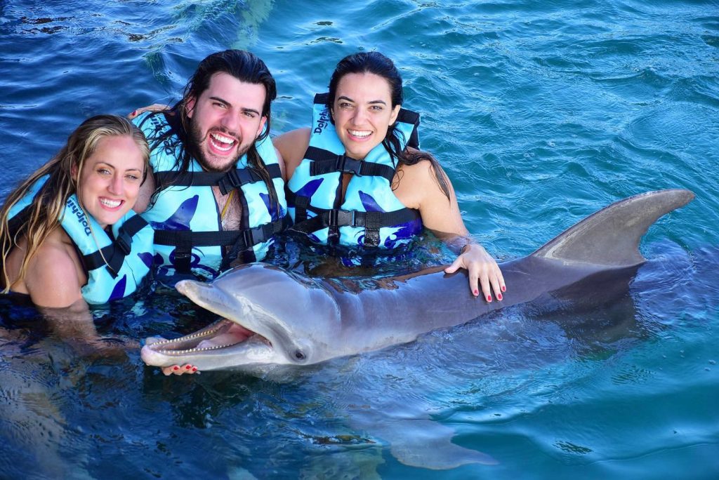 Nadar con delfines en Familia