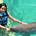 reseñas de dolphin discovery isla mujeres
