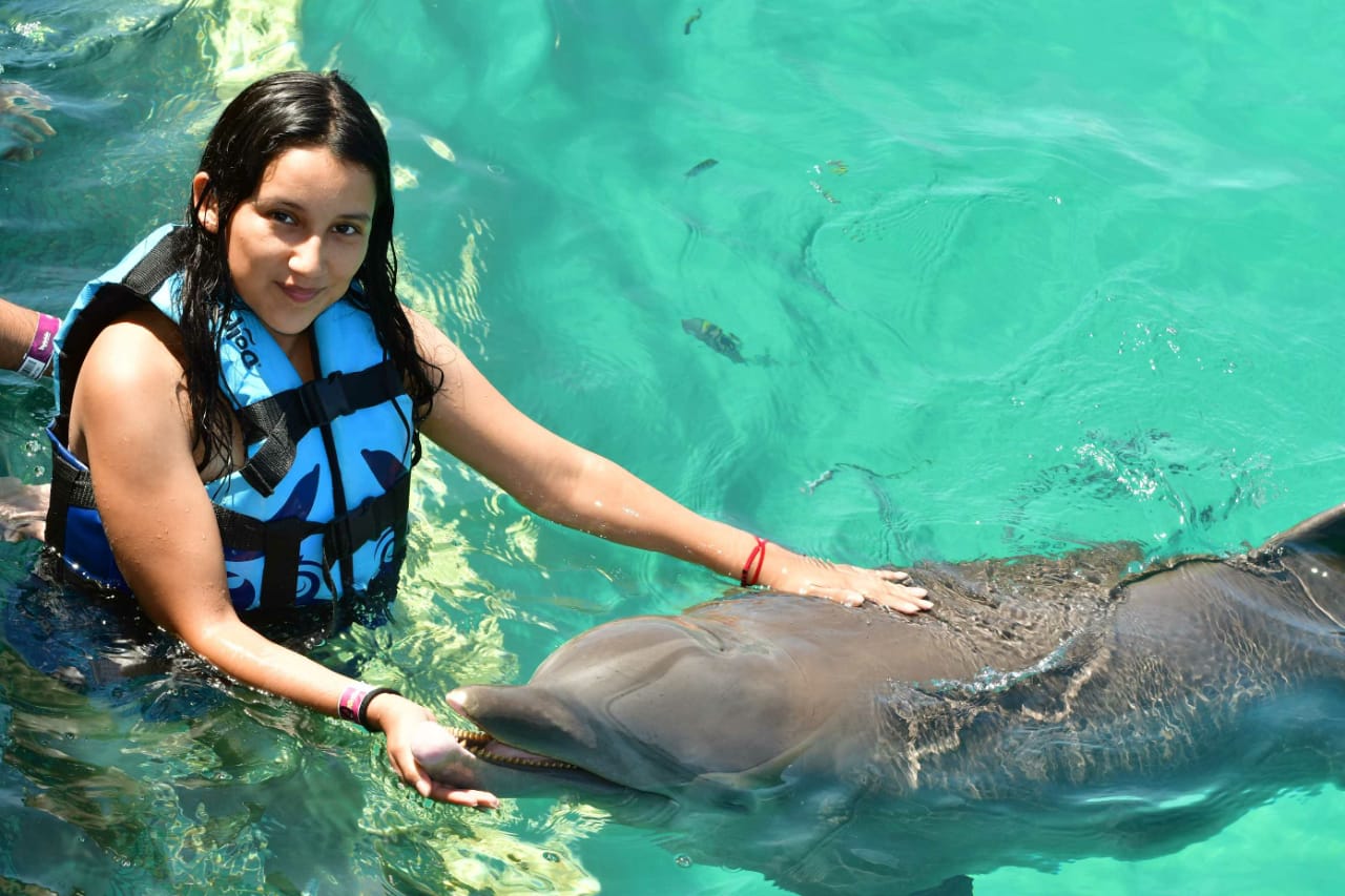 reseñas de dolphin discovery isla mujeres