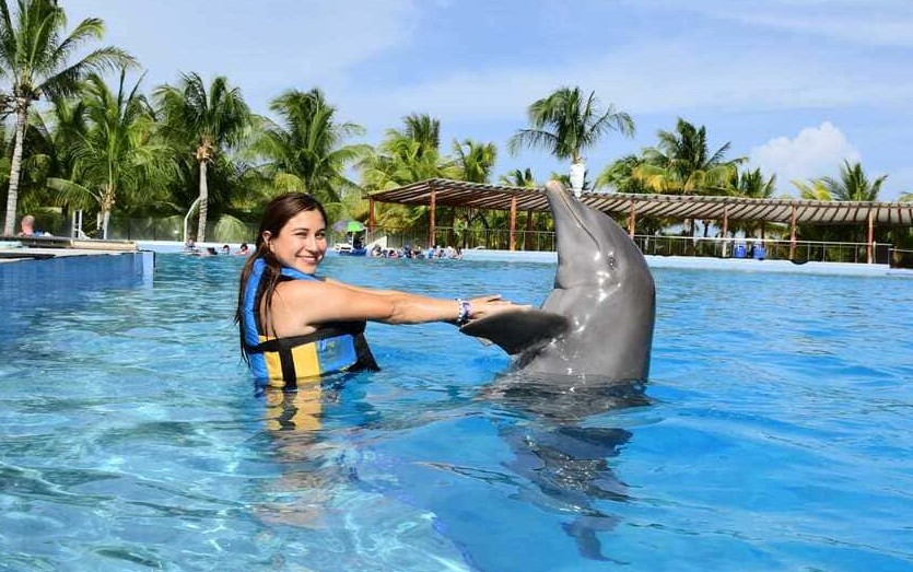 Nadar con delfines en Cancún