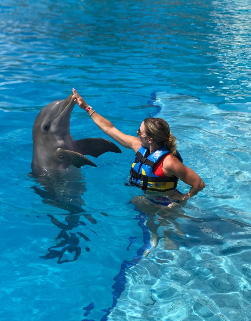 cuanto-cuesta-nadar-con-delfines-en-riviera-maya