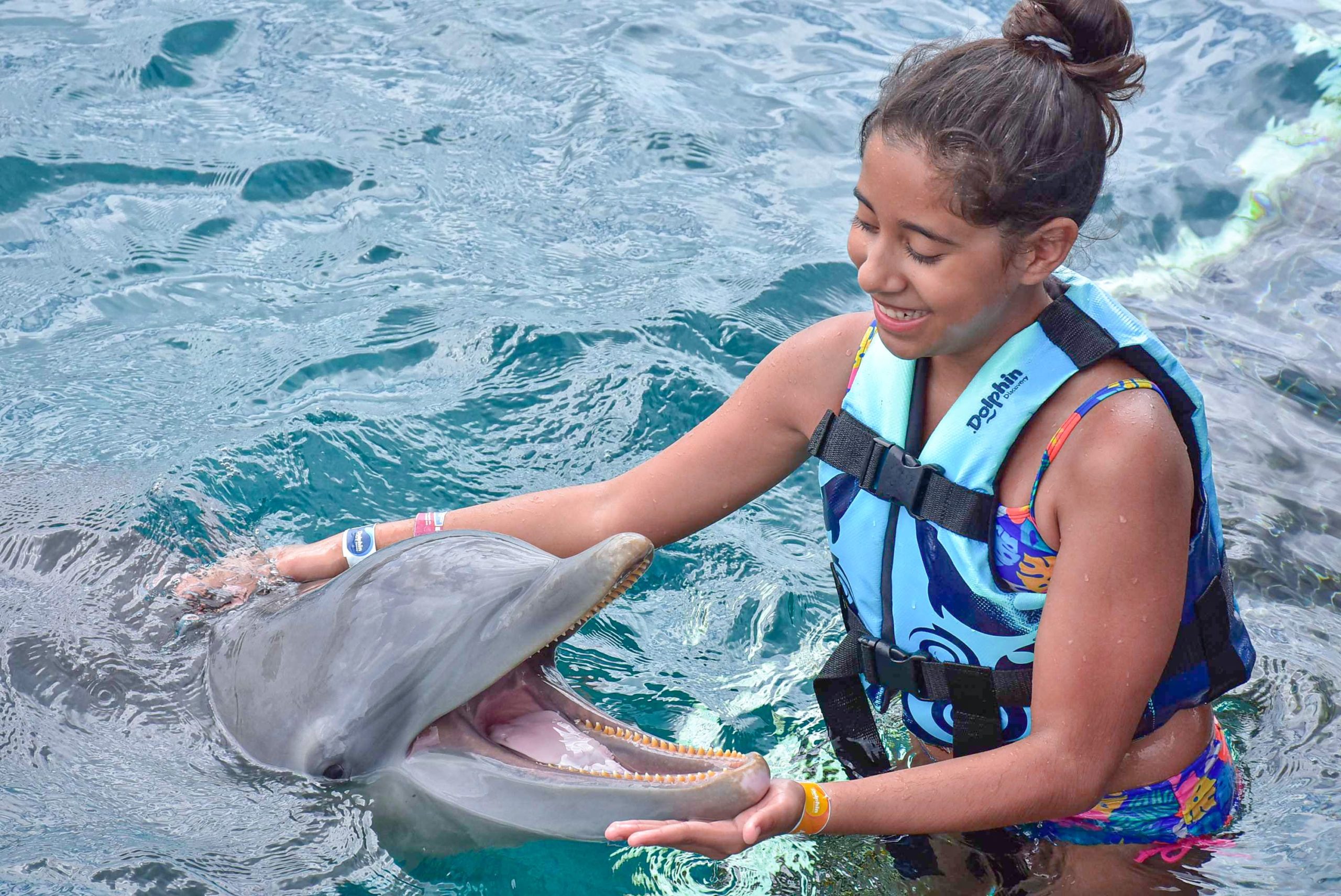 5 Excursiones en Cozumel Dolphin Discovery | Blog