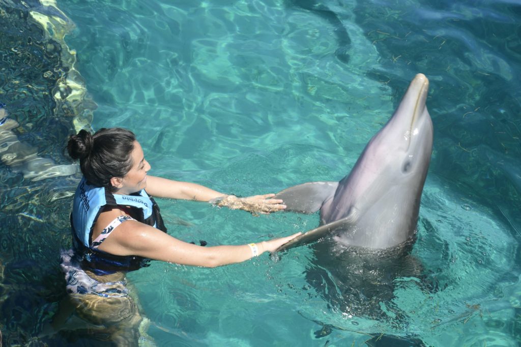 Mujer gusta de nadar con Delfines en Cancún