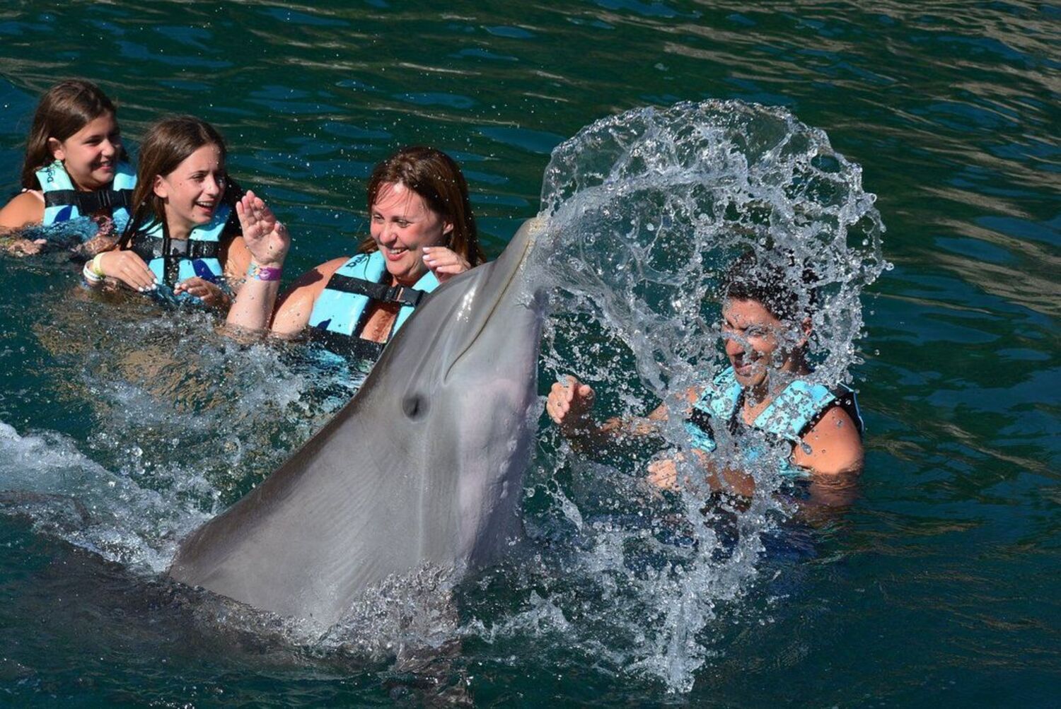nadar con delfines