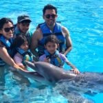 nadar con delfines en cancun con niños