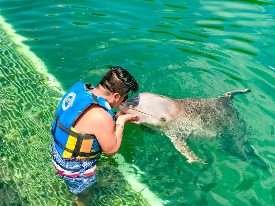 hombre gusta de nadar con delfines en Cancún y Riviera Maya