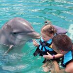niña puede nadar con delfines
