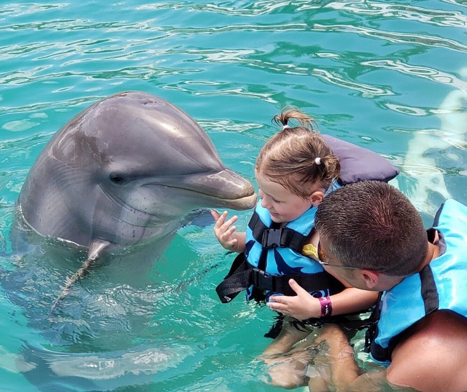 niña puede nadar con delfines