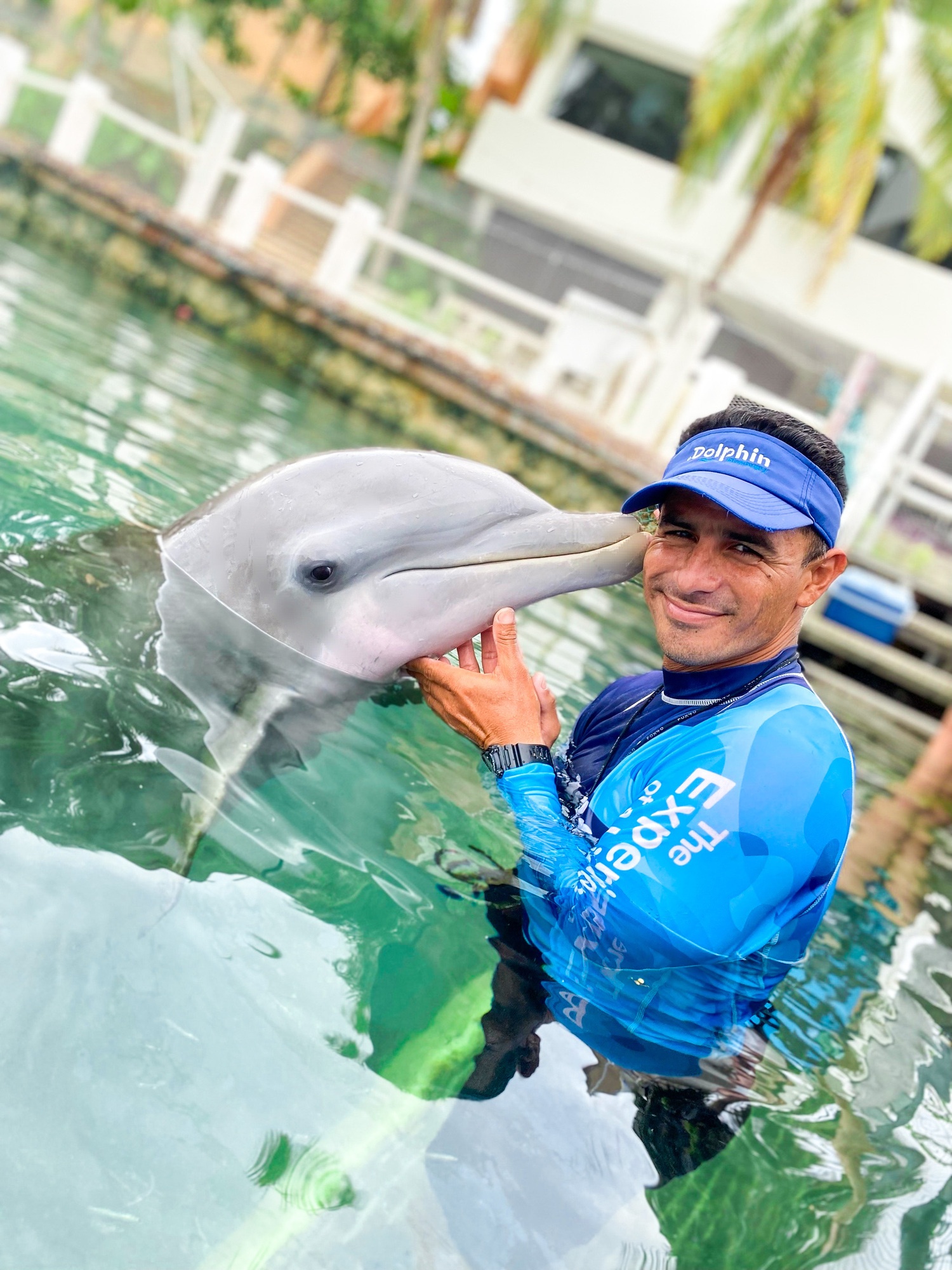 especialista cuida y gusta de nadar con delfines
