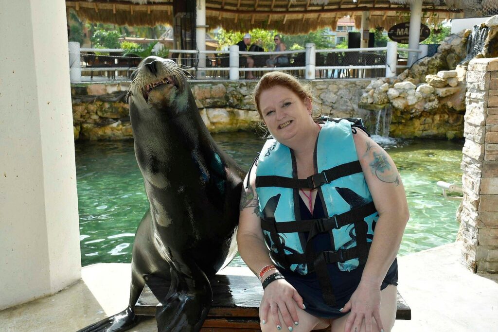 lobos-marinos-en-cancun-isla-mujeres