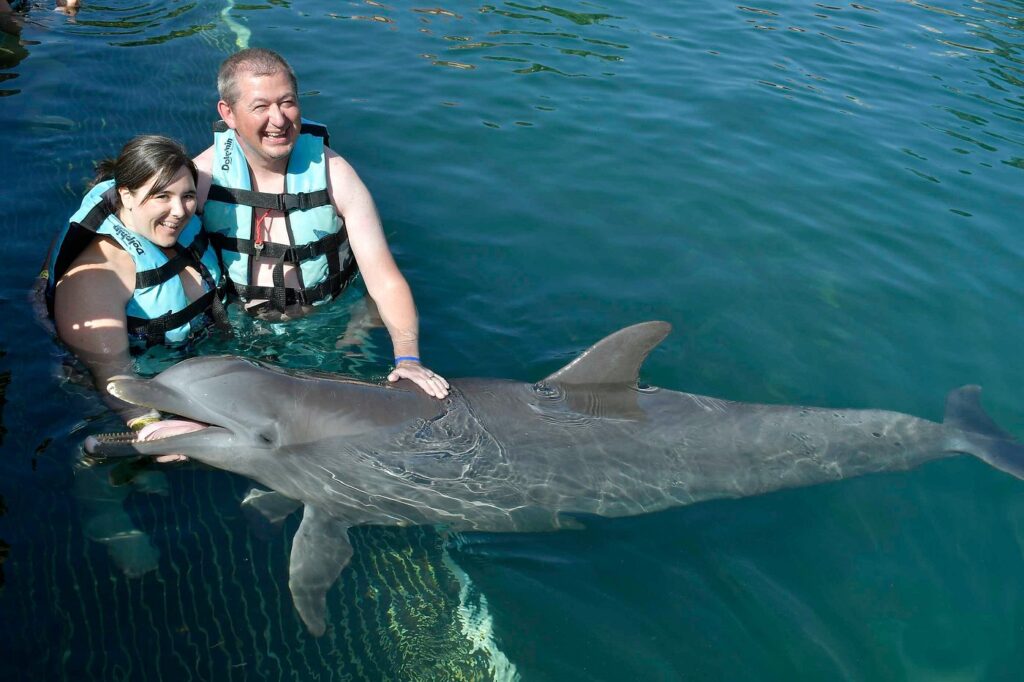 el-mejor-lugar-para-nadar-con-delfines-en-cancun-isla-mujeres