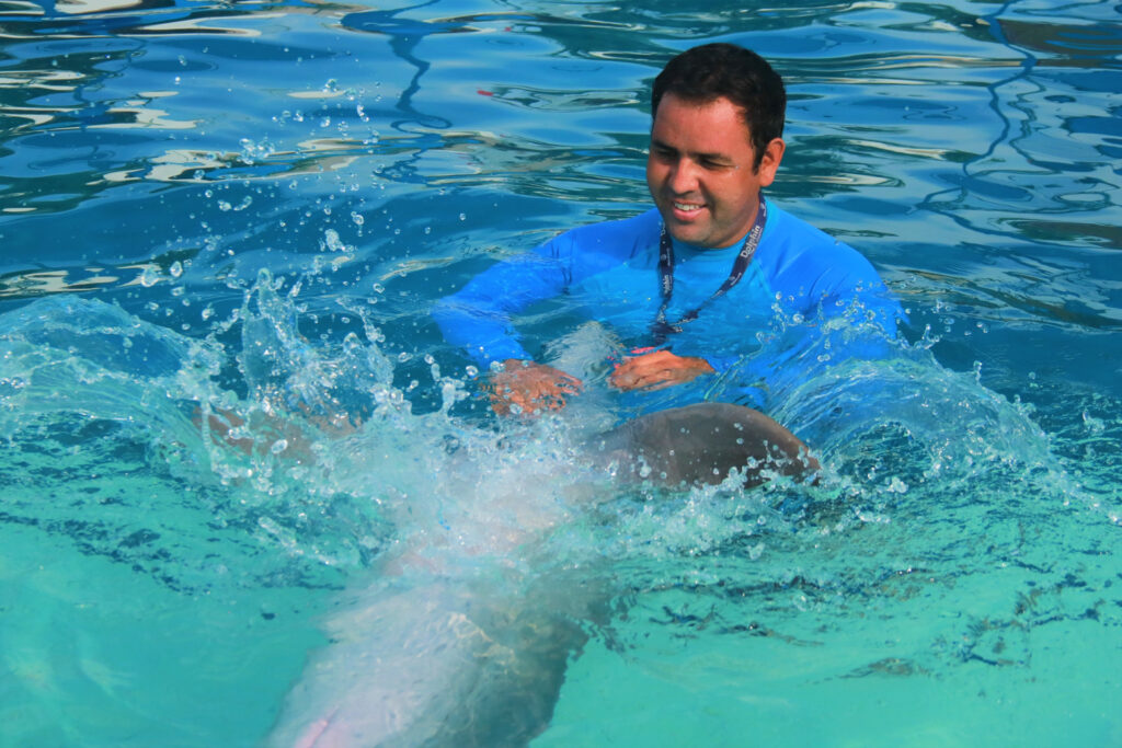 que-debo-estudiar-para-cuidar-delfines