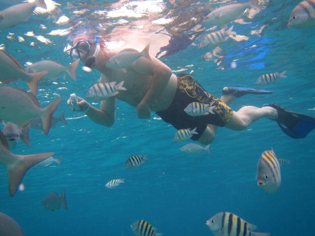 snorkel-en-cozumel