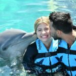 vive-las-mejores-actividades-con-delfines-en-mexico