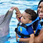 nadar-con-delfines-en-playa-del-carmen