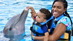 nadar con delfines en familia