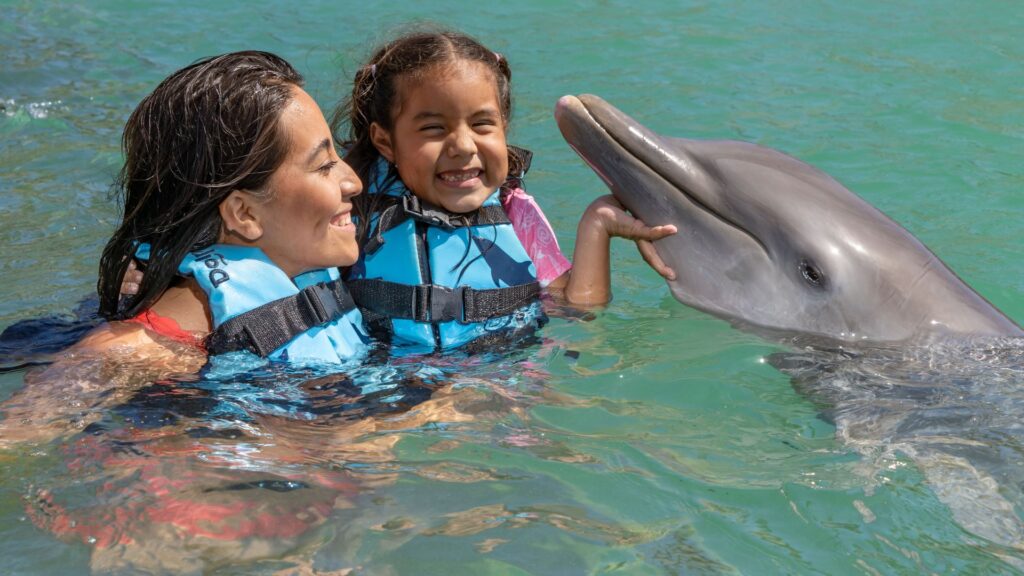 nadar con delfines en cozumel