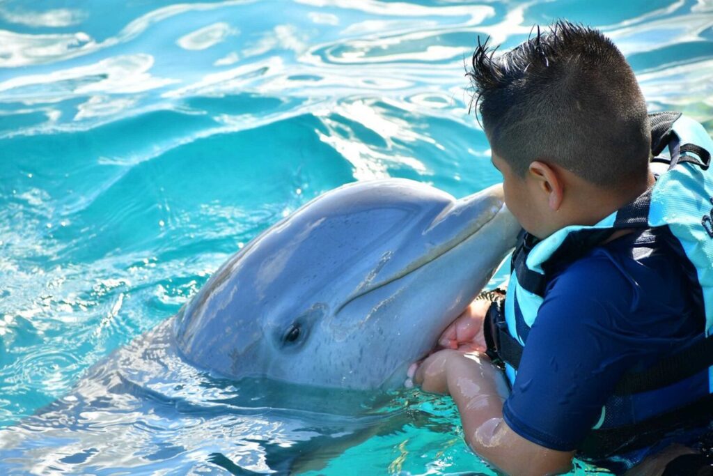delfin niño isla mujeres