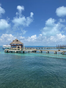 Hábitat Dolphin Discovery Isla Mujeres