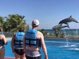 nadar con delfines en tulum