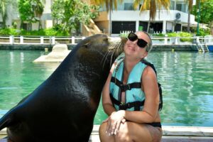 lobo marino en riviera maya