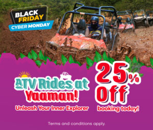 Black Friday y Cyber Monday 2023 en Yaaman