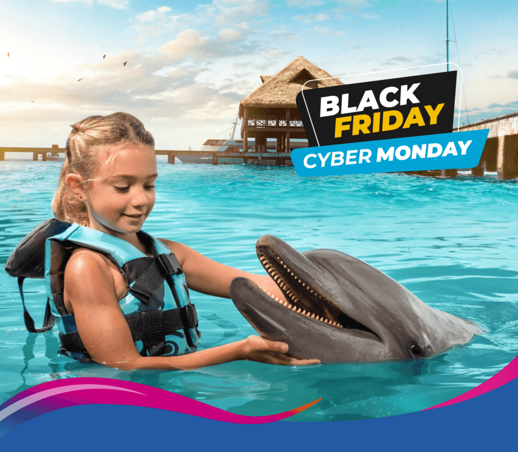 Black Friday y Cyber Monday 2023 en Dolphin Discovery