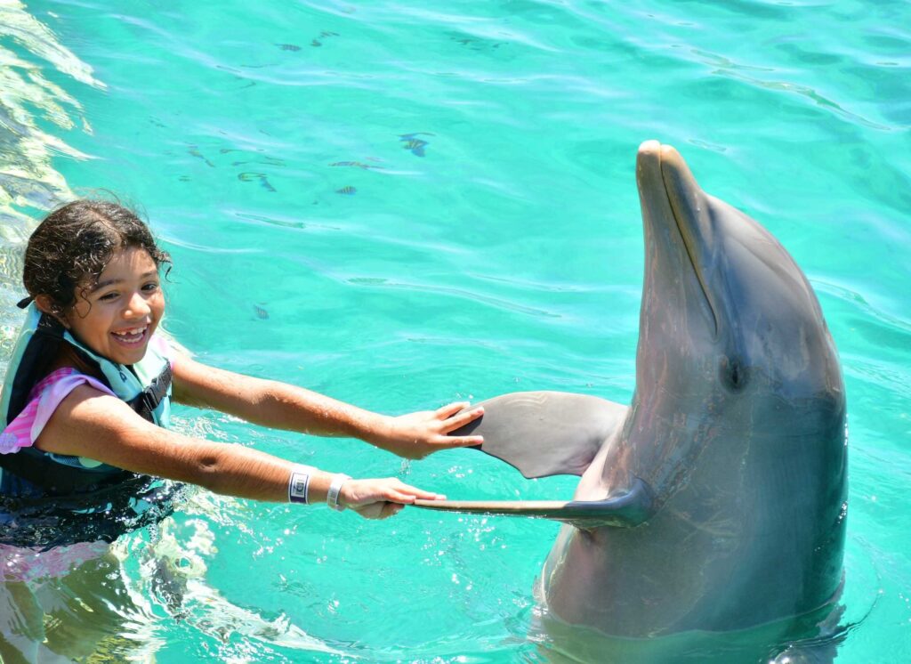 niña nadando con delfines en cozumel