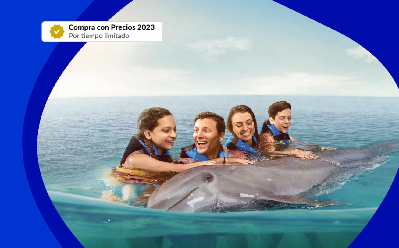 promociones de año nuevo en dolphin discovery