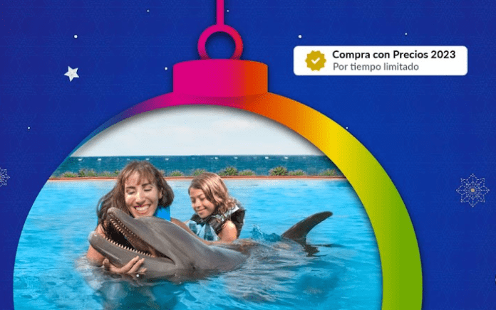 ofertas navideñas de dolphin discovery