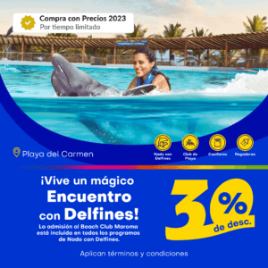 promociones para nadar con delfines en playa del carmen