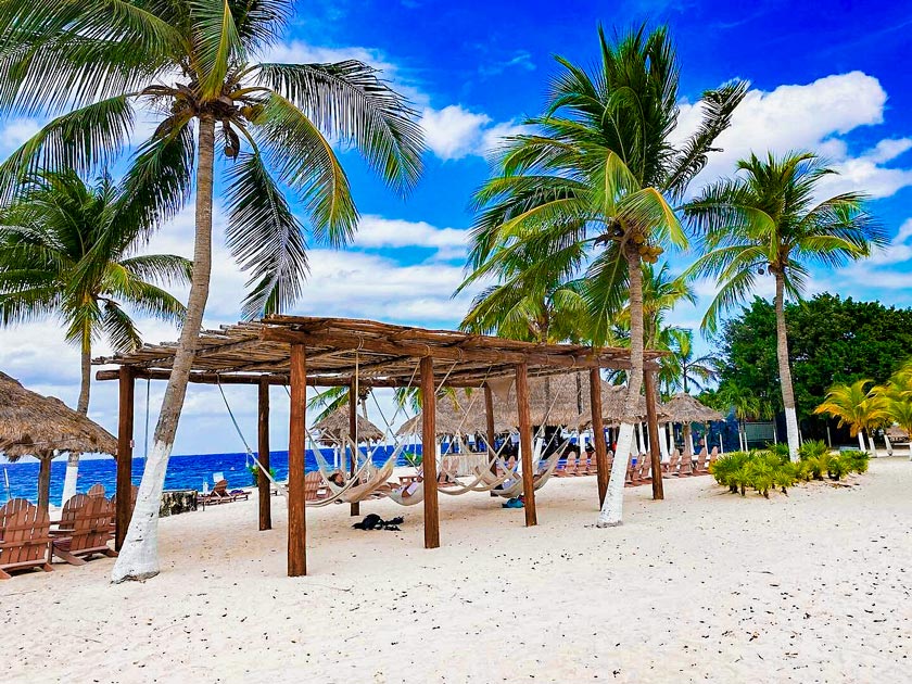 lugares para nadar con delfines en quintana roo