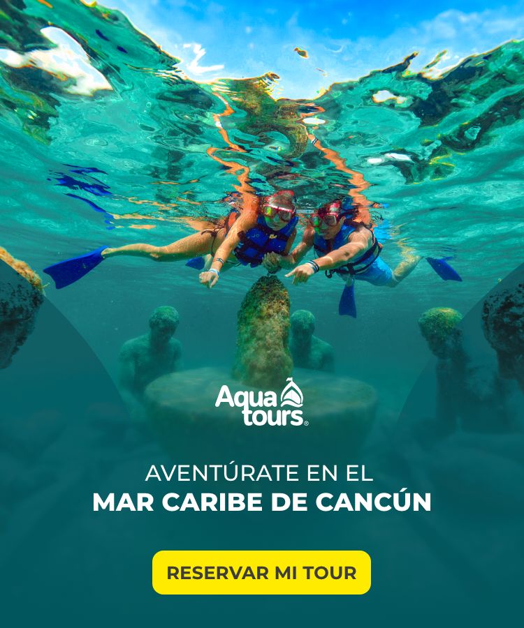 Explora el mar caribe en Cancún