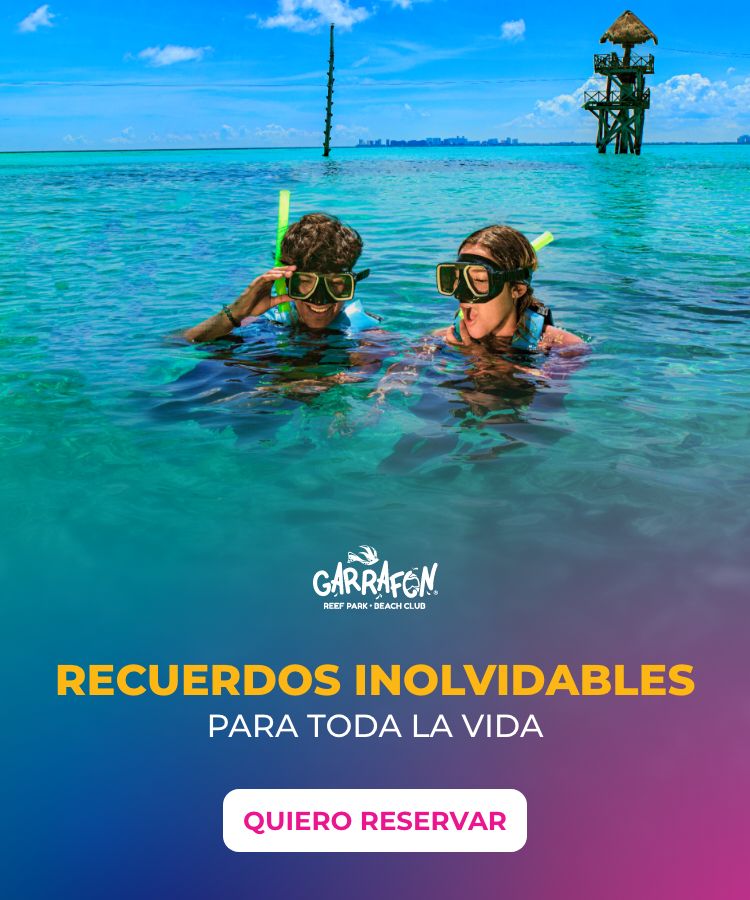 Hacer snorkel en Cancún