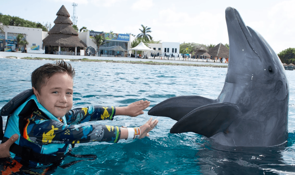 nadar con delfines en cozumel