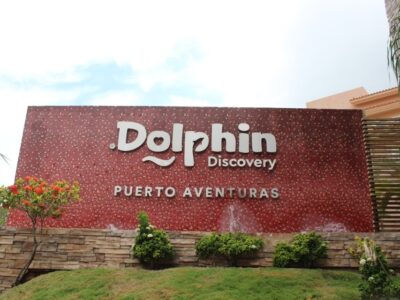 fachada de dolphin discovery puerto aventuras