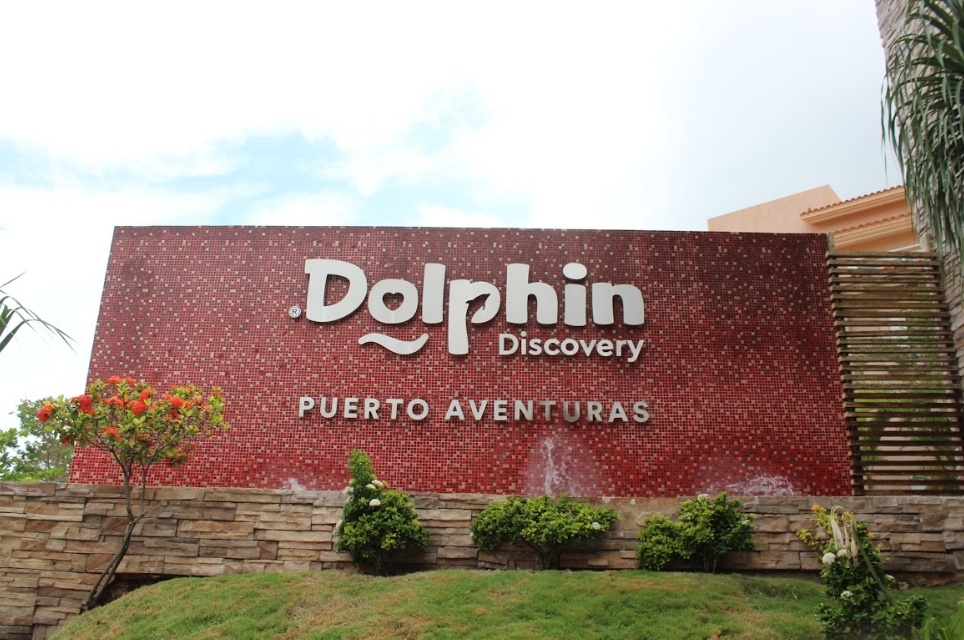 fachada de dolphin discovery puerto aventuras