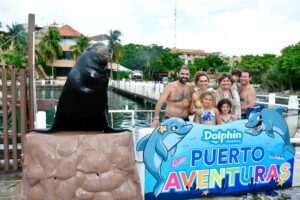 leones marinos en la riviera maya