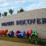 entrada Dolphin Discovery Downtown en Punta Cana