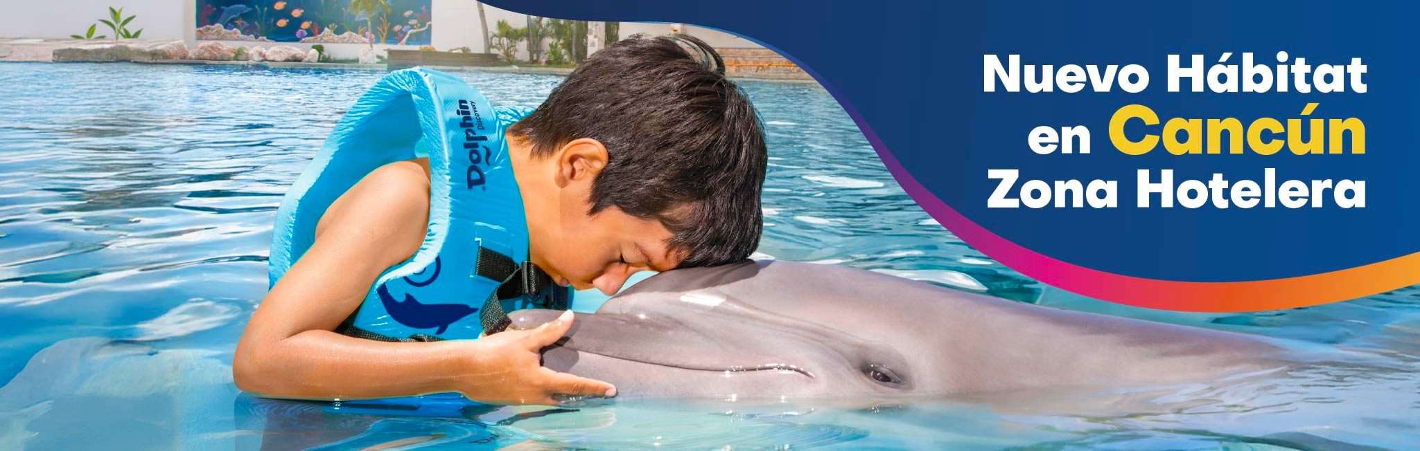 dolphin discovery en zona hotelera de cancun