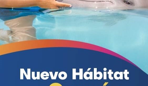 dolphin discovery llega a la zona hotelera de cancun